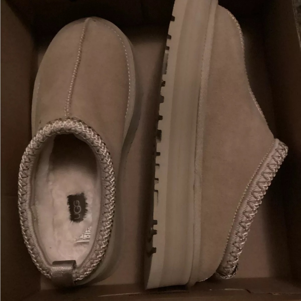 Women’s Tasman platform uggs